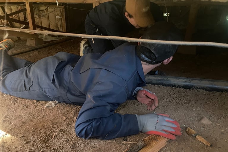 Termite damage under house. 