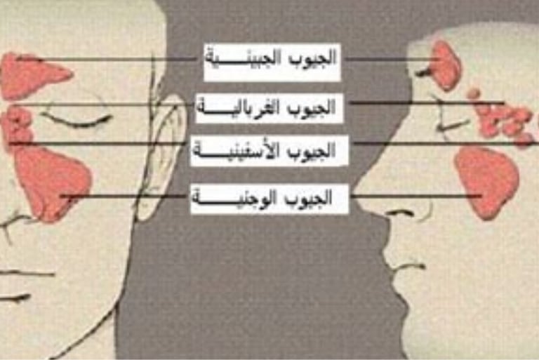 الجيوب الاربعة