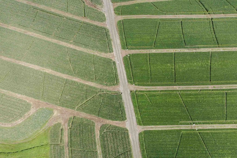 Foto de dron de campo agrícola en Ecuador
