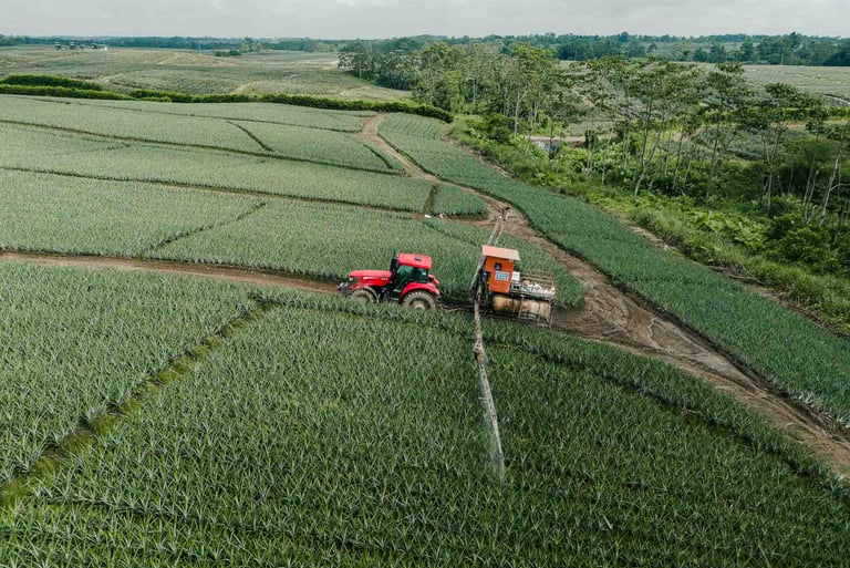 foto de dron de tractor fumigando plantación agrícola en ecuador