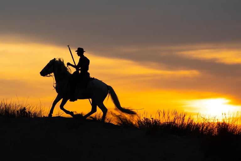 Silhouette of a camargue gardian riding a white horse on a sand dune during a golden sunset.