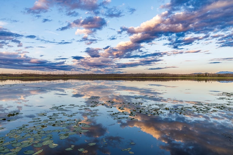 a lake with water lillies and clouds