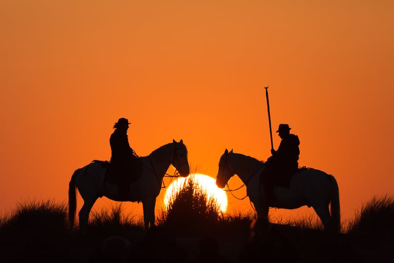 Silhouette of two horse riders on a beach at sunset with a large orange sun in the background.