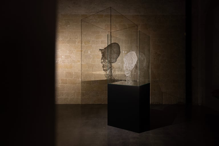 a glass sculpture of a skull in a glass case