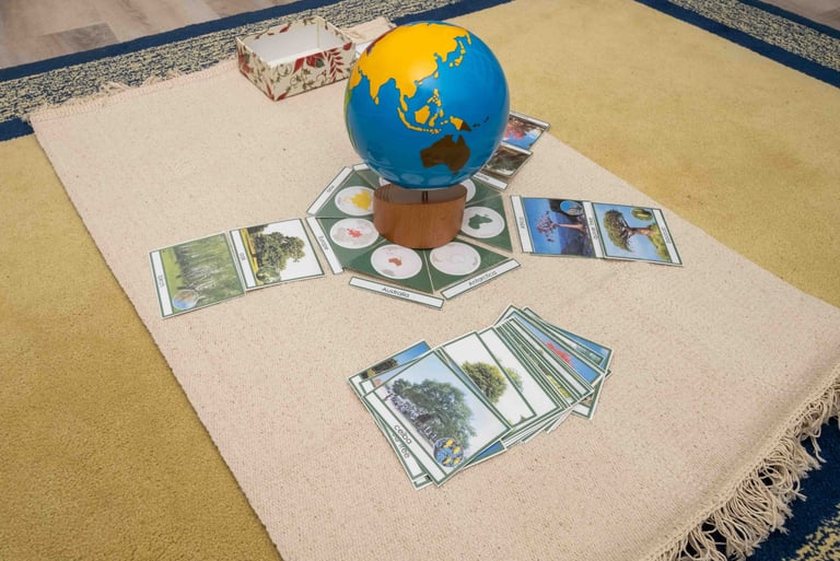 Trees of the World Around the Continent Globe