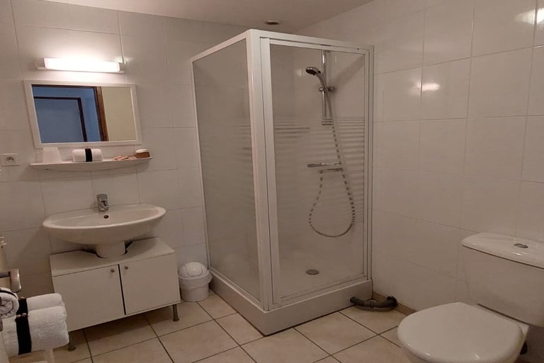 Les Sources Bedroom Alagnon ensuite shower room