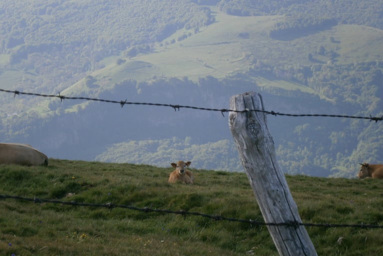 Belvedere sur St Jacques des Blats