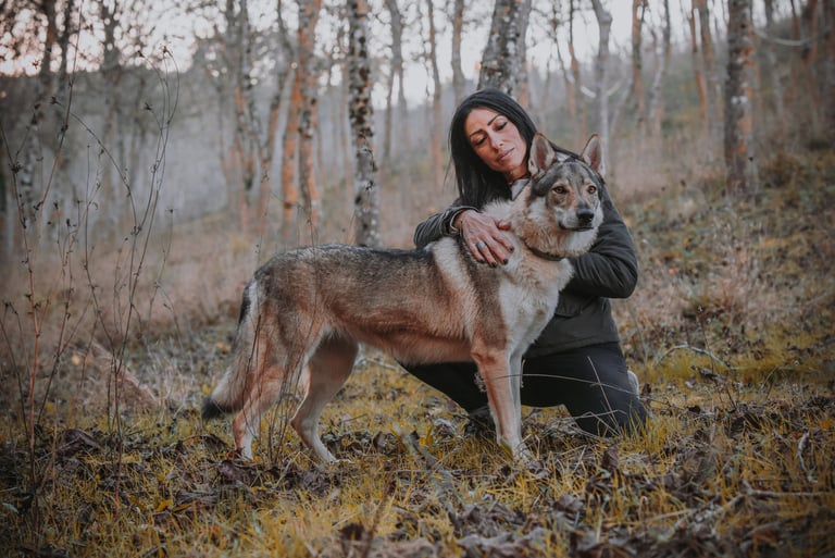 donna con lupo cecoslovacco nel bosco