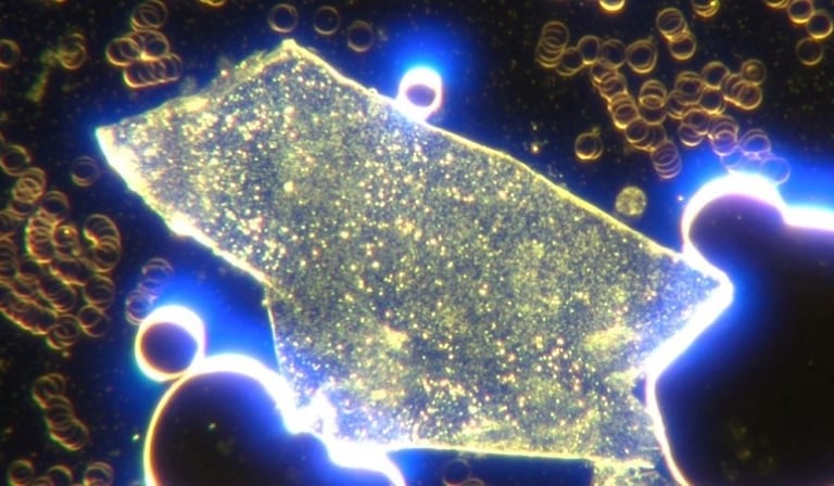 Image: Geometric hydrogel construction with multiple surrounding spherical construction sites.