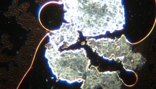 Image: Crystalline-looking hydrogel conglomerates, grown out of spherical construction sites.