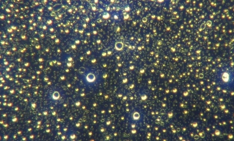 Image: higher magnification of micellar hydrogel construction, 2000x.