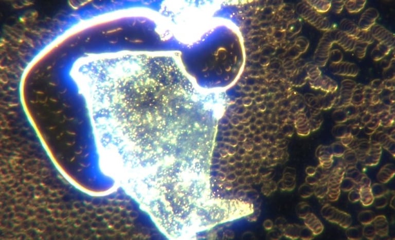 Image: spherical construction site that builds hydrogel with many micro robots included. Surrounding