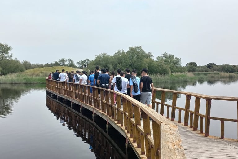 visita guiada tablas de daimiel. Actividades Corral de comedias almagro