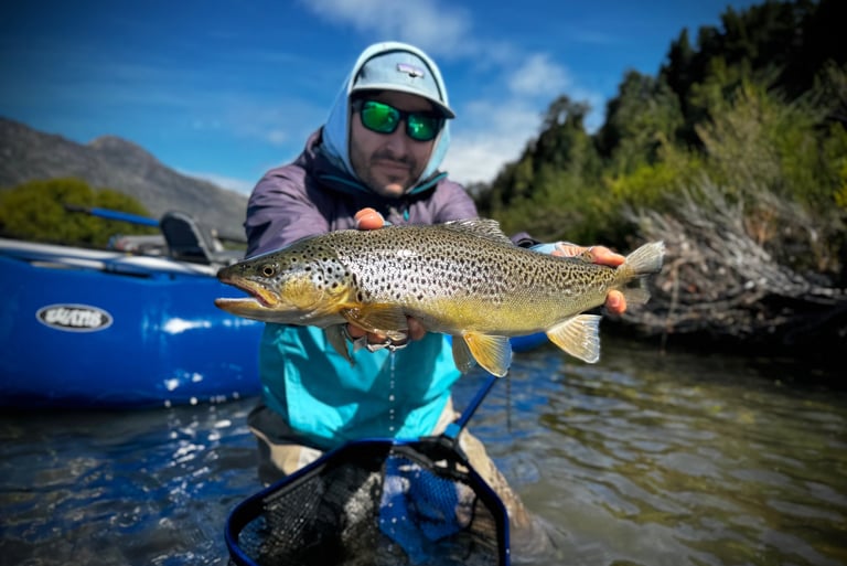 trucha marron del rio azul, Lago Puelo