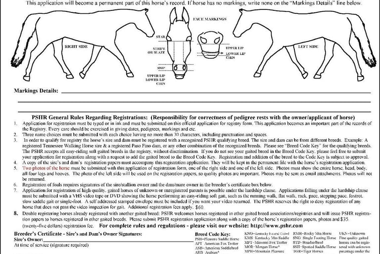 Click for larger version of 2nd page of gaited horse application form