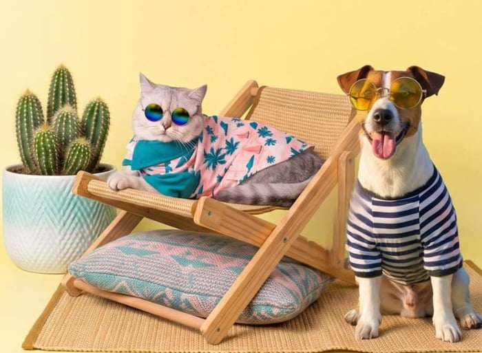 Un gato y un perro con estilo, que llevan gafas de sol y ropa de verano, descansan junto a un cactus en una silla de playa.