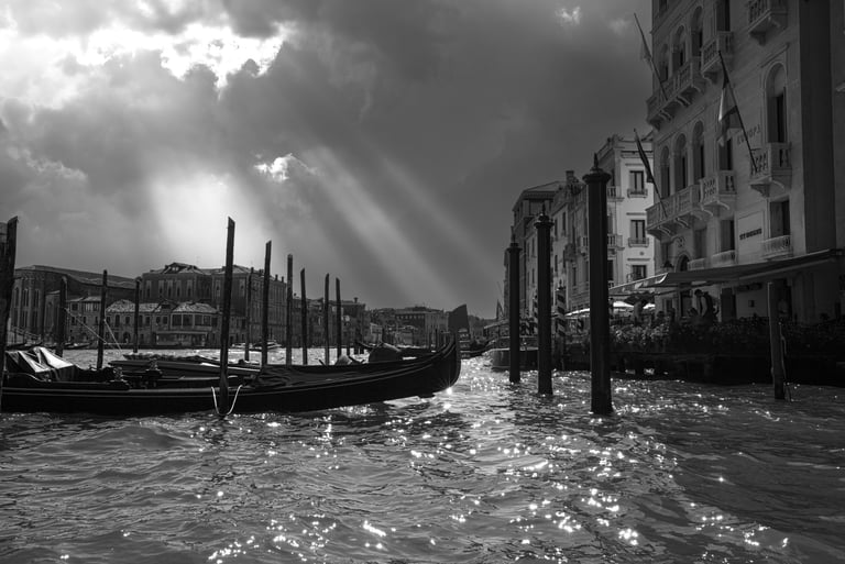 SERATA VENEZIA