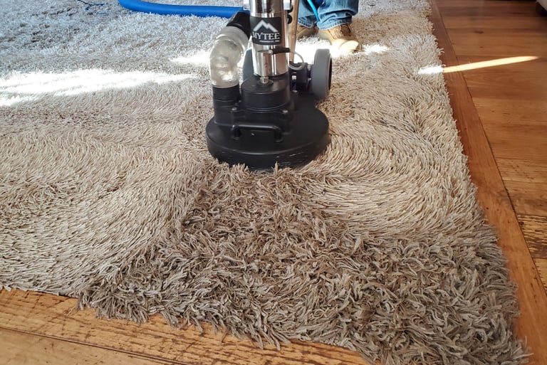Before & After Photo of Organic Carpet Cleaning with King Organic Clean