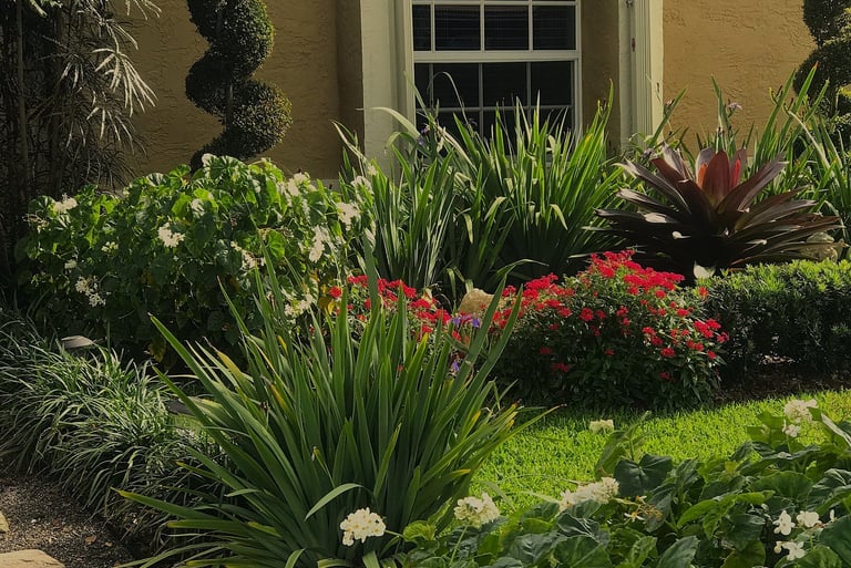 Lush tropical front yard landscaping with arched window, spiral topiary, and red flowers.