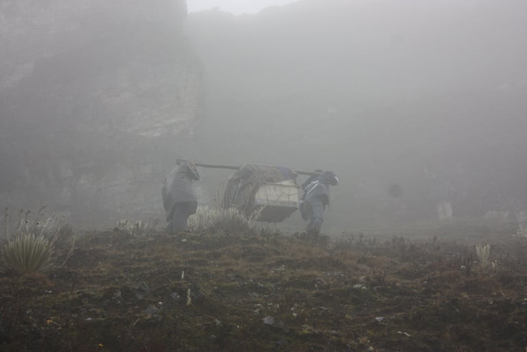 Andean condor release day at Cerros Nevados Ritacuá, El Cocuy, Colombia