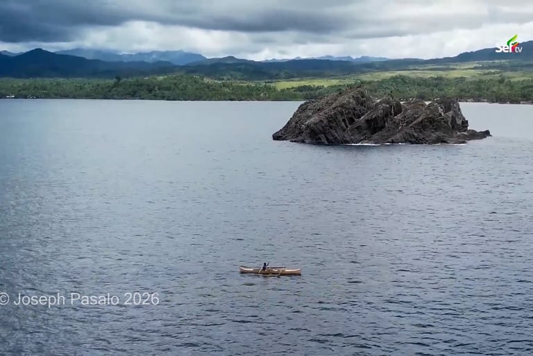 Snake island few meters from the coast