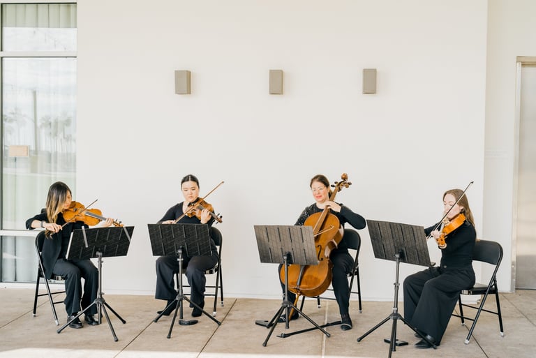 Professional string quartet performing for marriage proposal at outdoor venue
