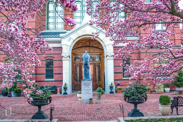Photo of tulip trees framing statue in Washington DC