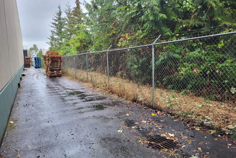 picture of an alley behind a building with blackberries having been removed from a chain link fence