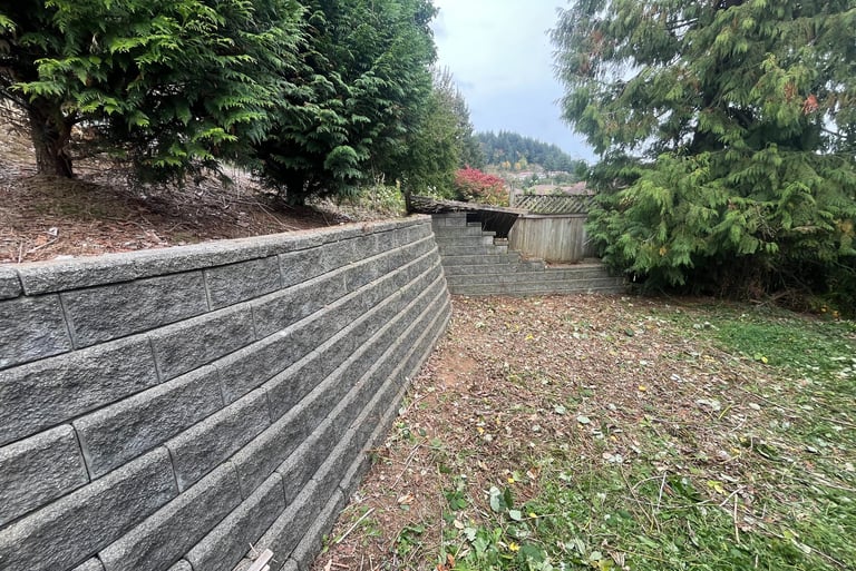 Blackberry Removal Abbotsford. After pic