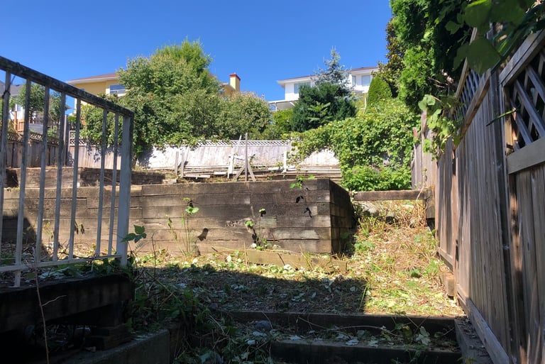 a picture of a back yard with a wooden retaining wall with blackberries removed