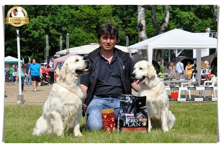 Winning couple in Sleepysong Kennel - Dewmist Salentino & Sleepysong Vine Illusion
