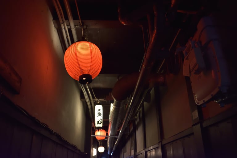 "灯籠" - Pontochō, Kyoto, Japan