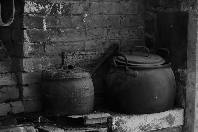 "Dust Collector" - Woodchester Mansion, England