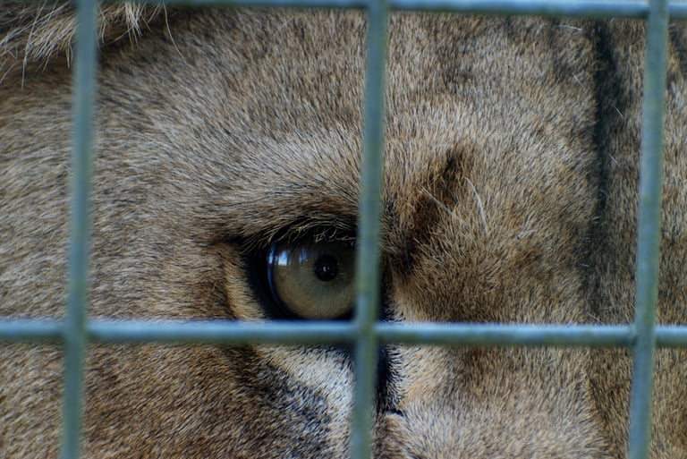 "Sorry to Bother You" - Clevedon, England
