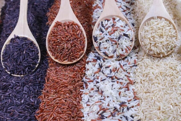 tipos de arroz