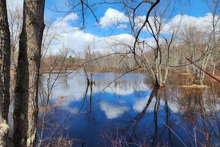 A flooded plain in early spring. #mentalhealth