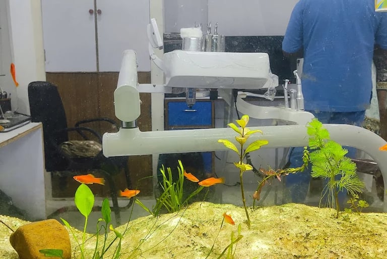 the white dental practice mankapur nagpur dental chairs and aquarium