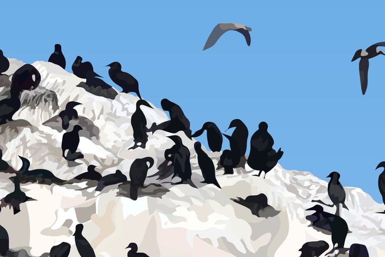 BIRD ROCK – 17 Mile Drive Art - hyperrealistic vector art - detail 6