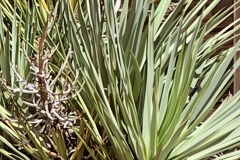 ONCE UPON THE WEST - Joshua Tree Art (vector hyperrealism) detail 3