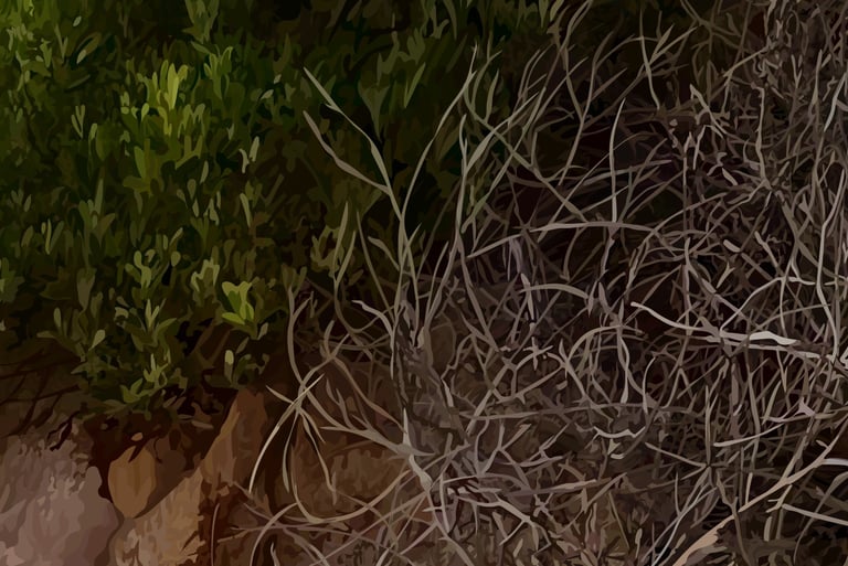 STAIRWAY TO HEAVEN - Laguna Beach Sunset Art - detail 3