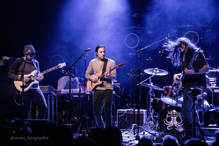 andrew brantley, the orange constant, on stage