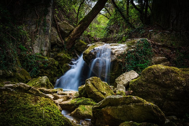 foto fine art natureza