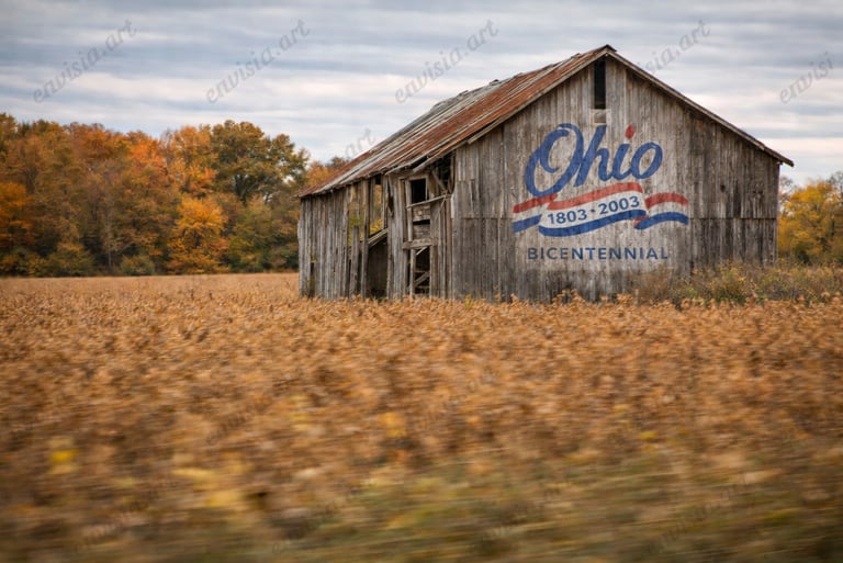 Commercial and Editorial Art Image