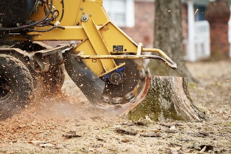 louisiana stump grinding 