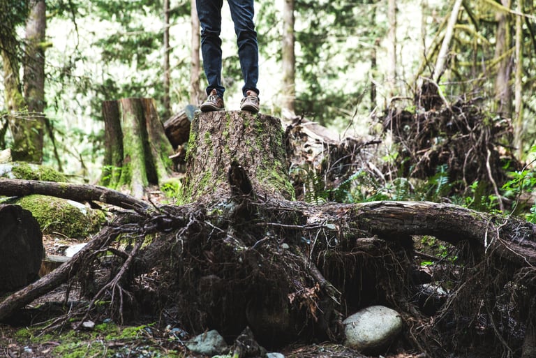 TREE-MENDOUS Tree Service