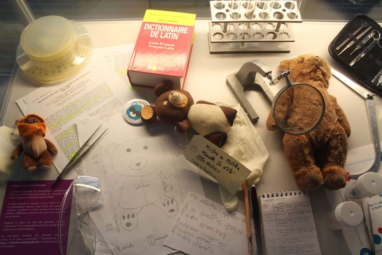 La peluchologie Universite Montpellier