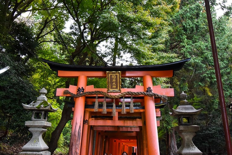 Porte torii vermillon dans la foret avec deux lanternes en pierre de part et d'autre