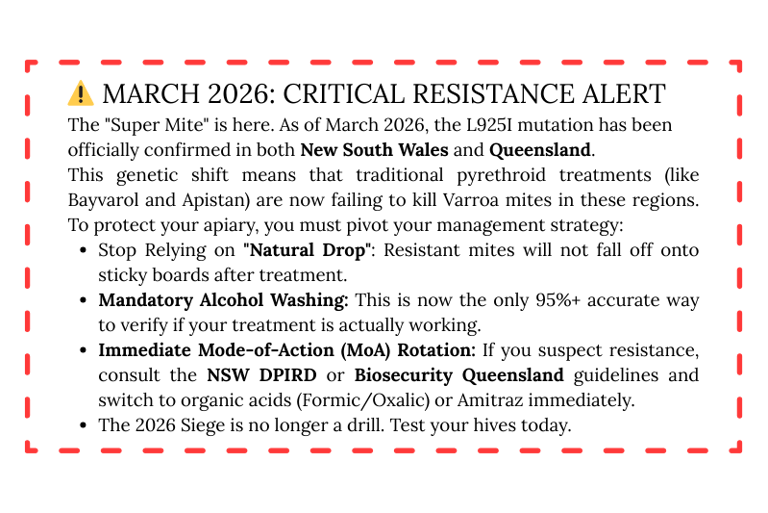 Critical resistance alert for Varroa mites in Australia detailing management strategies for beekeepers.