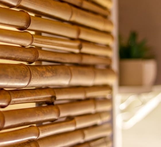 mindo-naturaleza-bicok-hospedaje