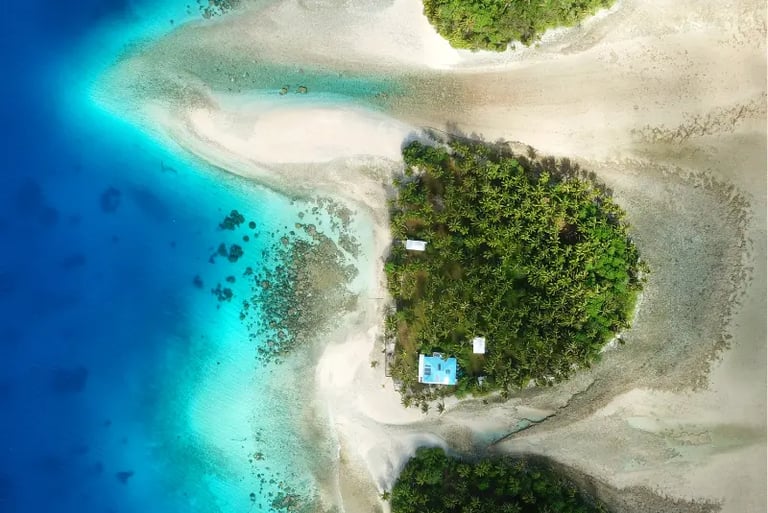 Aerial view of a tropical island beach with turquoise ocean water and lush palm trees.